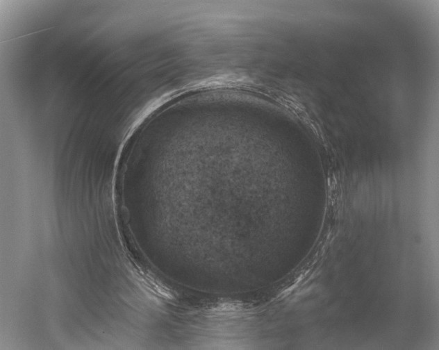 X0000059220196200510211519