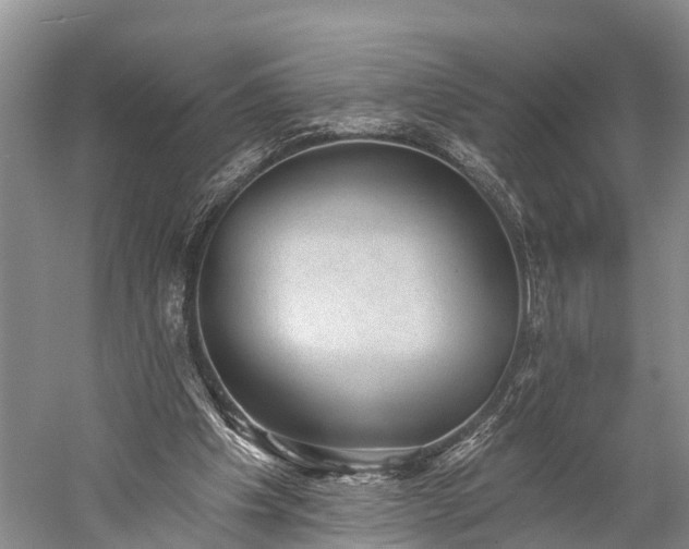 X0000059220201200510211518