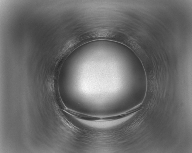 X0000059220207200510211518