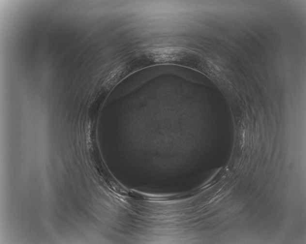 X0000059220219200510211518