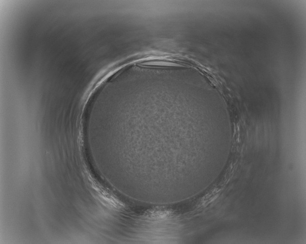 X0000059220247200510211517