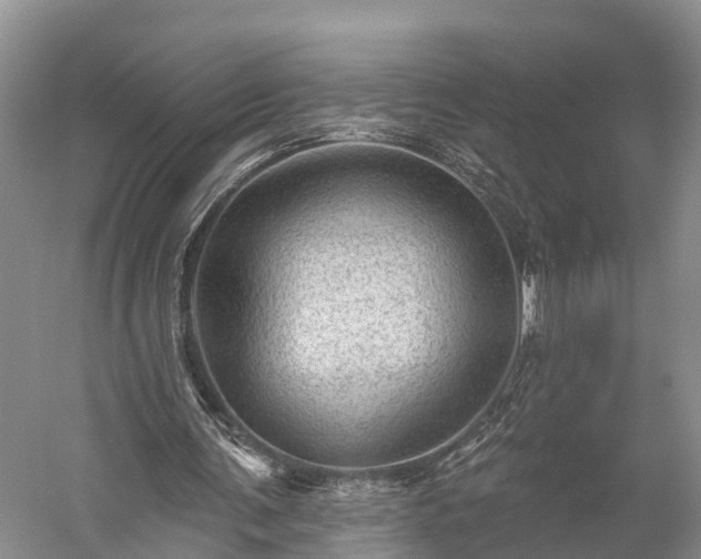 X0000059220291200510211517