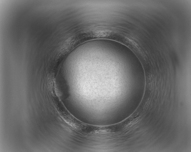 X0000059220307200510211517