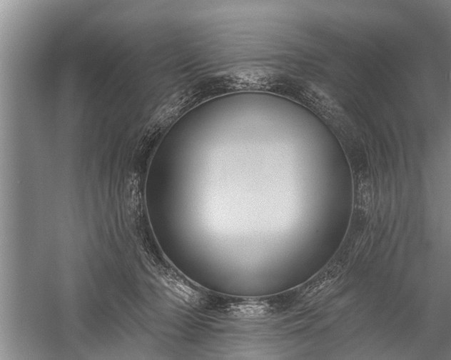 X0000059220318200510211516