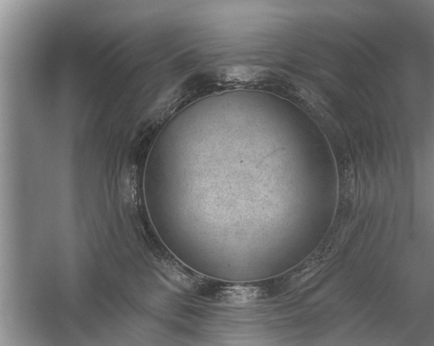 X0000059220328200510211516