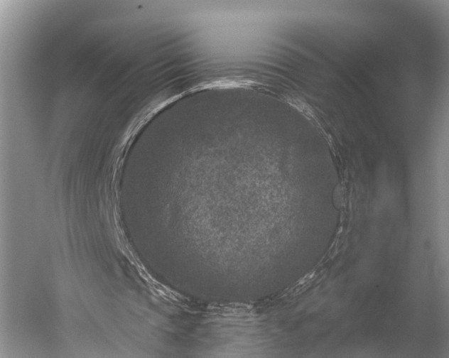 X0000059220337200510211515