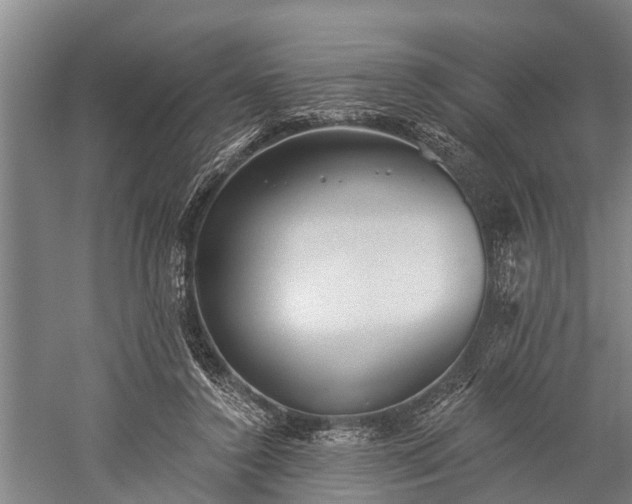 X0000059220356200510211516