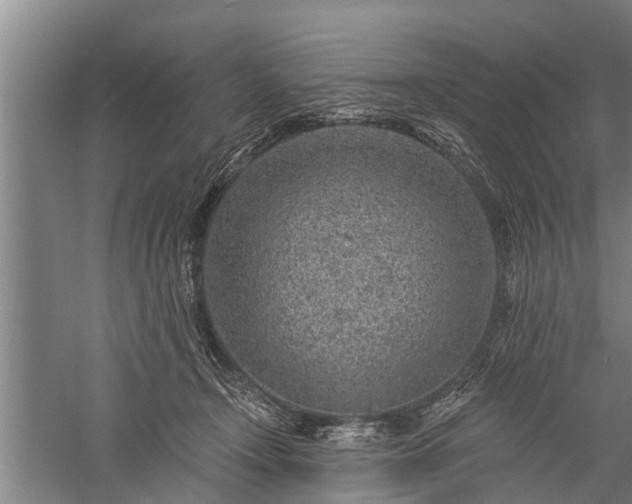 X0000059220366200510211516