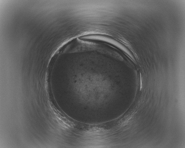 X0000059220387200510211515
