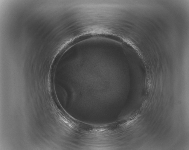 X0000059220391200510211515