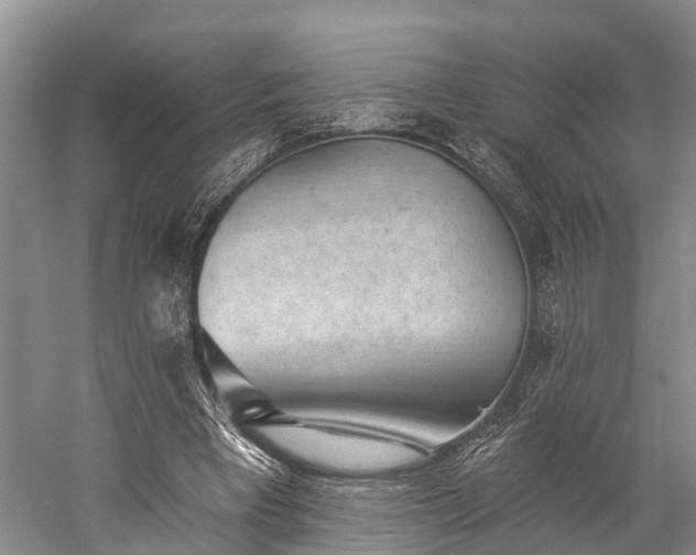 X0000059220393200510211515