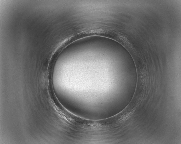 X0000059220395200510211515
