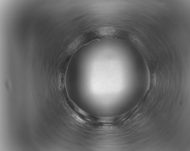 X0000059220428200510211515