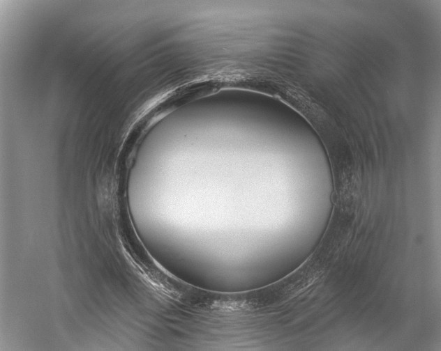 X0000059220440200510211514