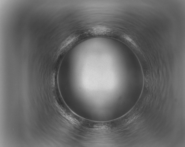 X0000059220454200510211514