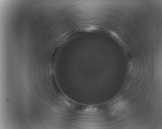 X0000059220471200510211514
