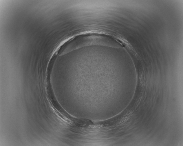 X0000059220484200510211514