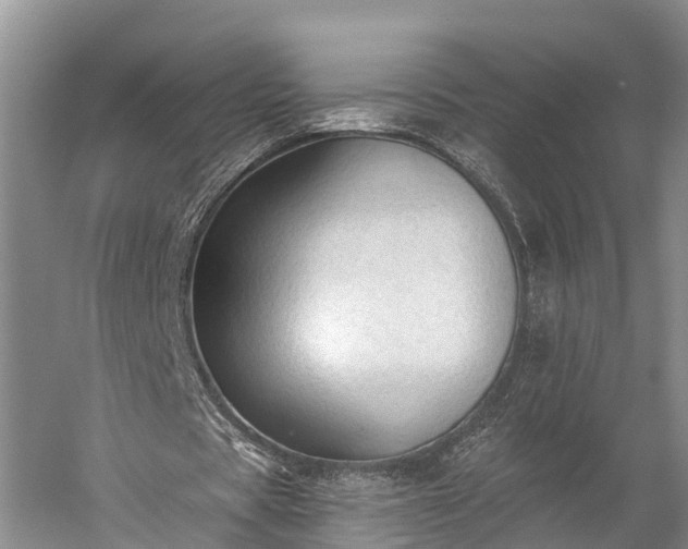X0000059220529200510211512