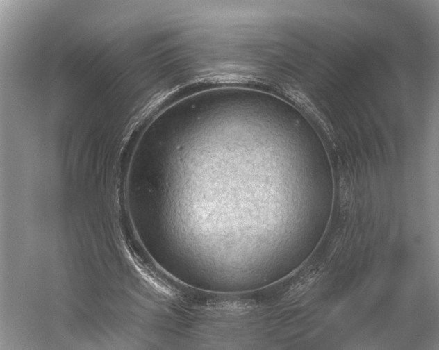 X0000059220533200510211512