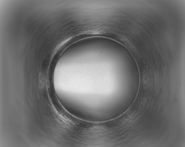 X0000059220536200510211512