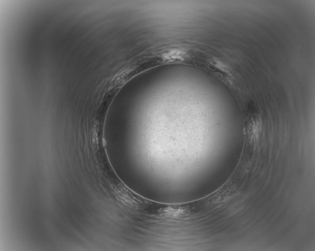 X0000059220570200510211513