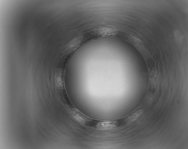 X0000059220622200510211511