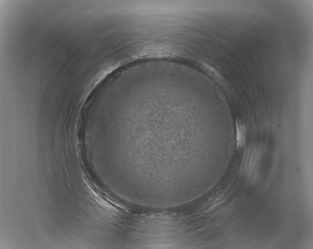 X0000059220627200510211510