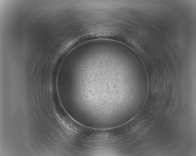 X0000059220631200510211511