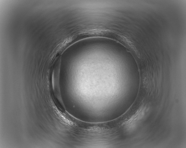X0000059220633200510211511