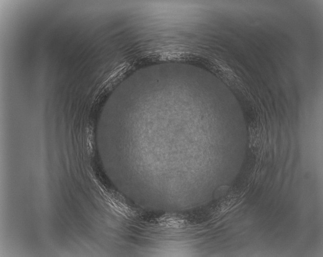X0000059220648200510211511