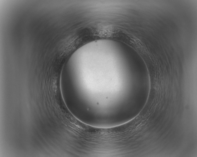 X0000059220697200510211510