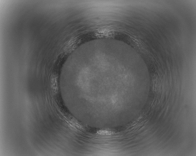 X0000059220699200510211510