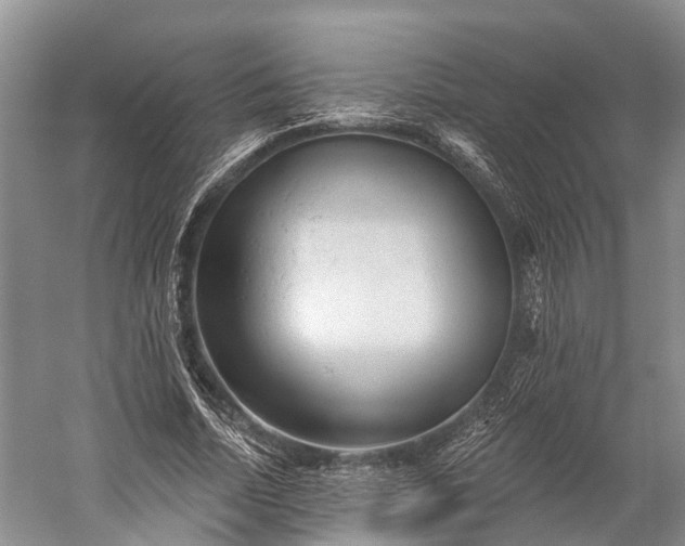 X0000059220730200510211509
