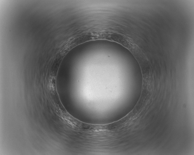 X0000059220770200510211509