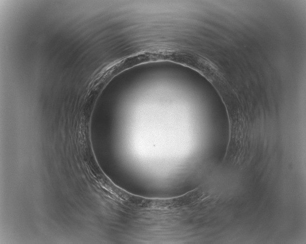 X0000059220773200510211509