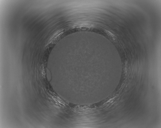 X0000059220774200510211509
