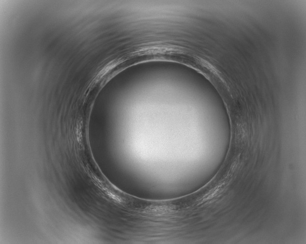 X0000059220778200510211509