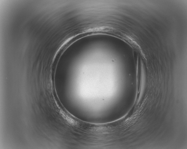 X0000059220792200510211508