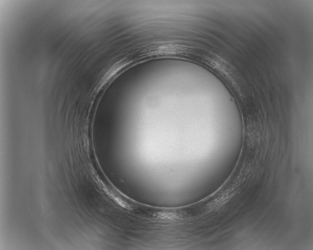 X0000059220794200510211508
