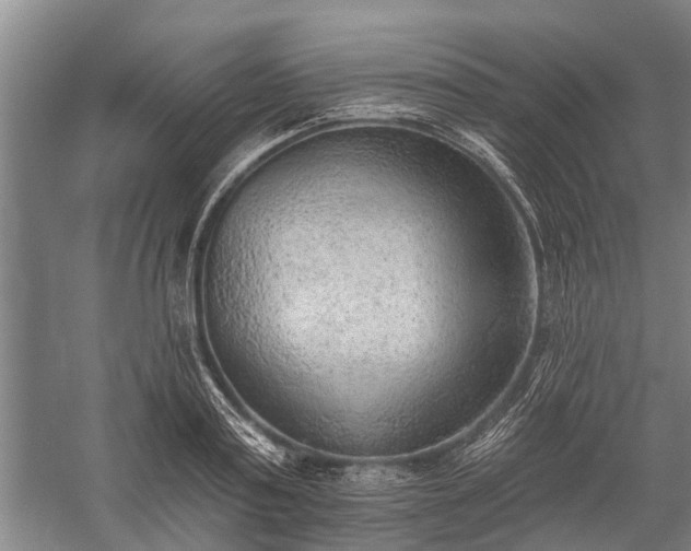 X0000059220795200510211508
