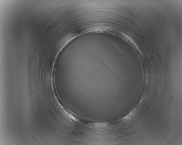 X0000059220802200510211508