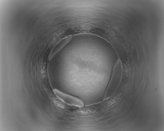 X0000059220818200510211507