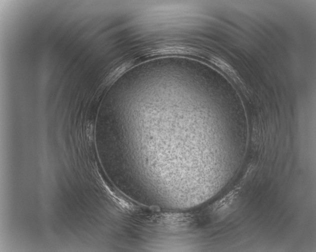 X0000059220849200510211508