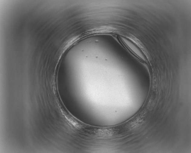 X0000059220850200510211508