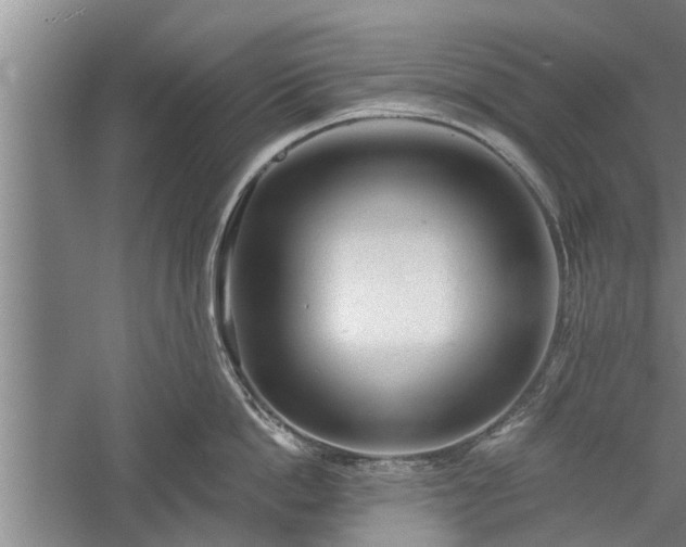 X0000059220862200510211508