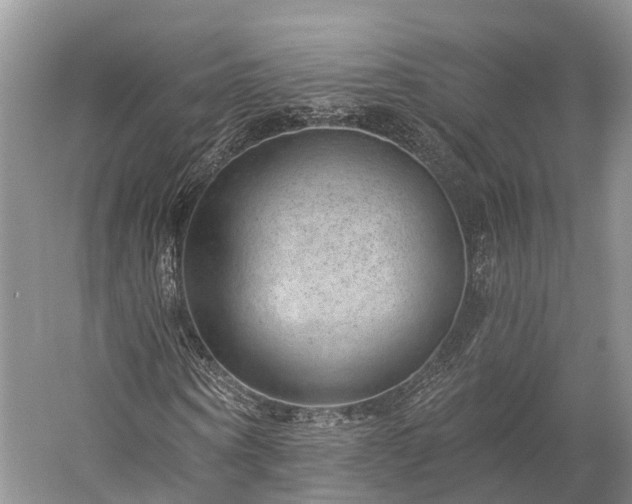 X0000059220866200510211507