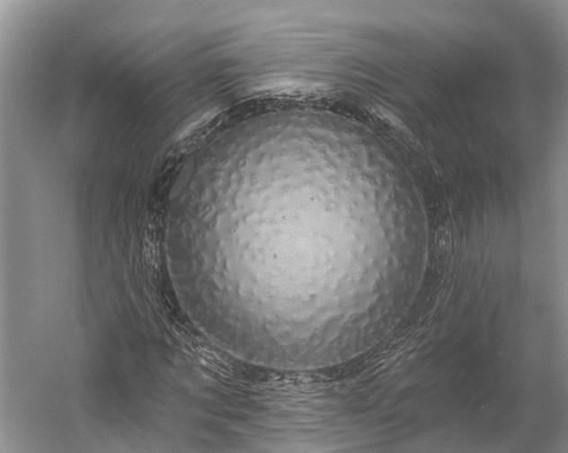 X0000059220869200510211507