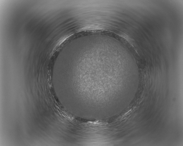 X0000059220871200510211507