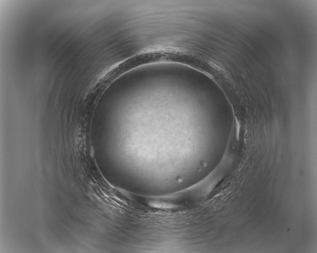 X0000059220872200510211507