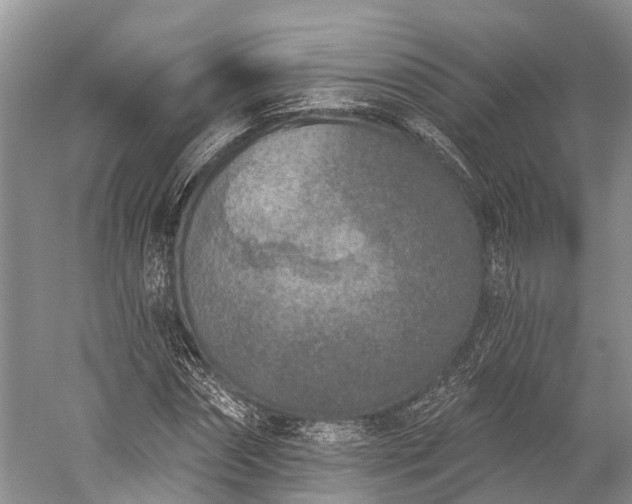 X0000059220874200510211507